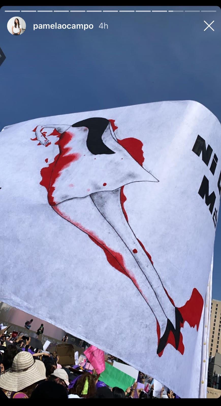 Cartoon: Mexico Feminicida, detalle 6 — ilustración de Camdelafu