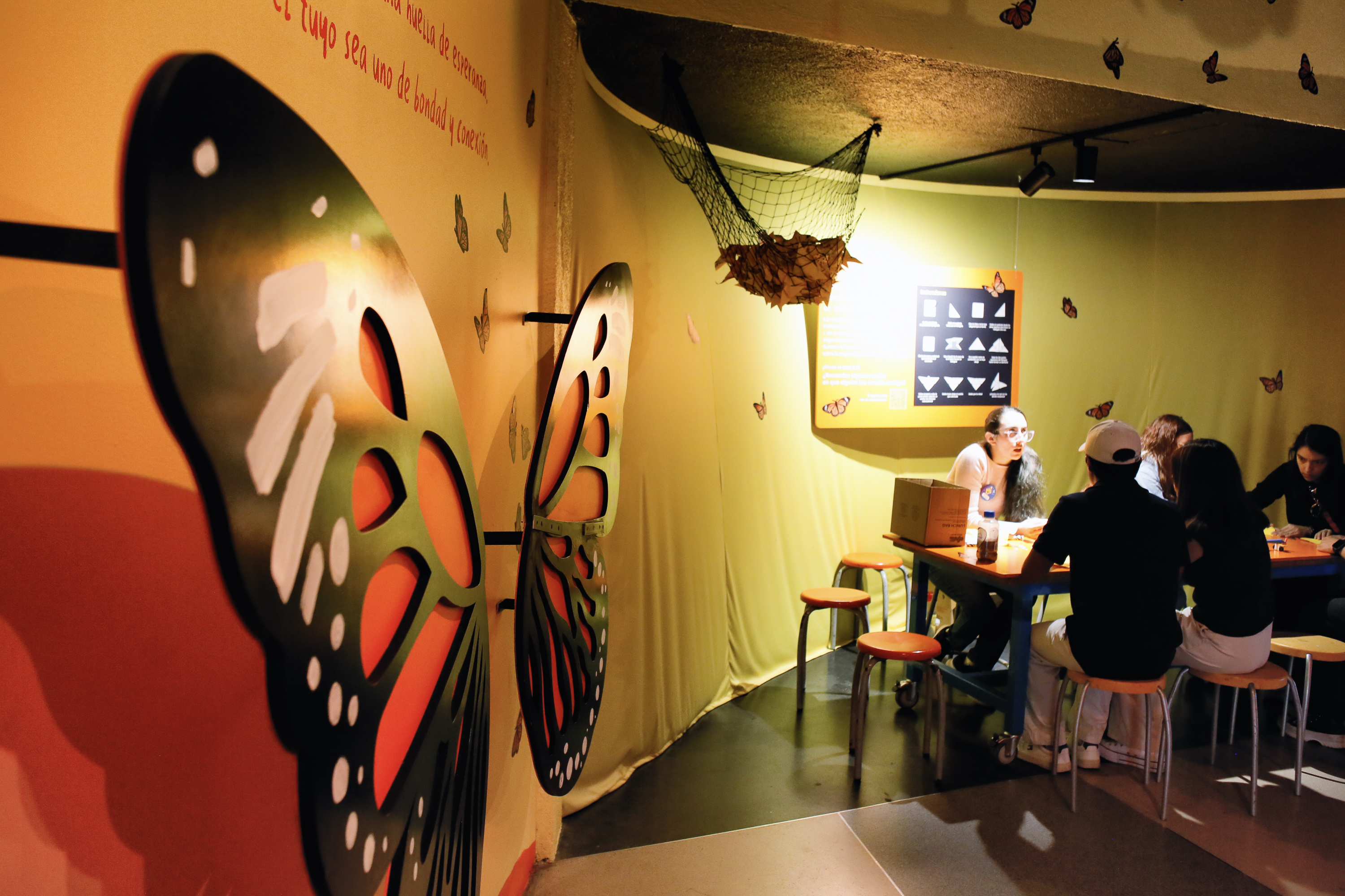 Exhibición participativa en Papalote Museo del Niño: Pequeñas Alas, Gran Impacto, detalle 10 — ilustración de Camdelafu